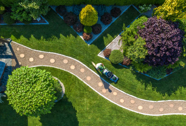 istock Gardener with Grass Mower Trimming Backyard Lawn Aerial View 1263707123