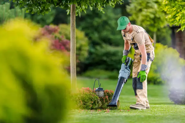 Photo of Gardener with Cordless Leaf Blower Cleaning Backyard Garden