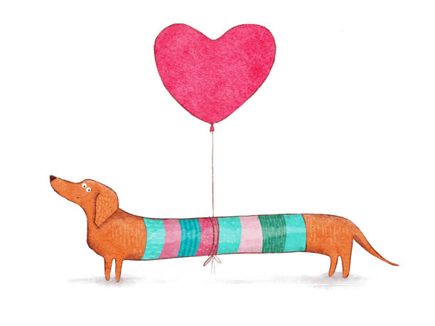ilustraciones, imágenes clip art, dibujos animados e iconos de stock de acuarela divertido dachshund perro con globo de corazón. badger dog - dachshund