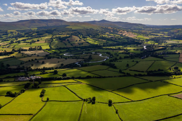 istock Aerial view of fields and farmland 1263711032