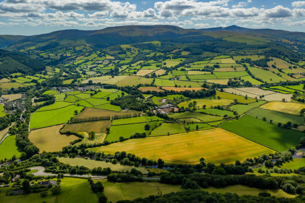 istock Aerial view of fields and farmland 1263711035