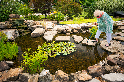 Landscape design based on plants of the middle belt of Russia, garden design in the Japanese style.