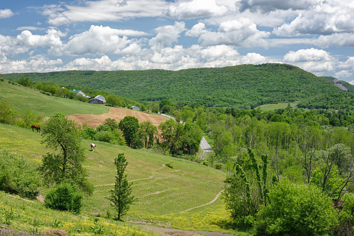 Rolling hills and mountain background of a rural farming landscape in the Pennsylvania summer, with distant horses in pasture.