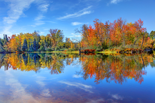 Fall Leaves reflected in a small stream- Howard County, Indiana