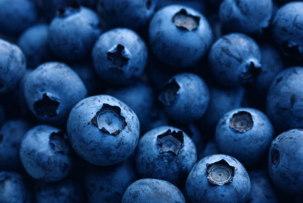 istock dark blue ripe blueberry macro close up 1263715141