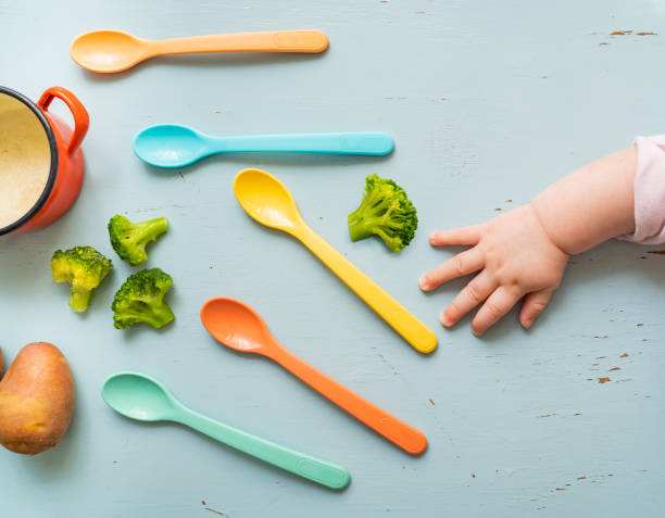 Cute baby hand reaching for spoon, Baby food concept Cute baby hand reaching for spoon, Baby food concept, vegetables, spoons and small pot on the table. baby food stock pictures, royalty-free photos & images