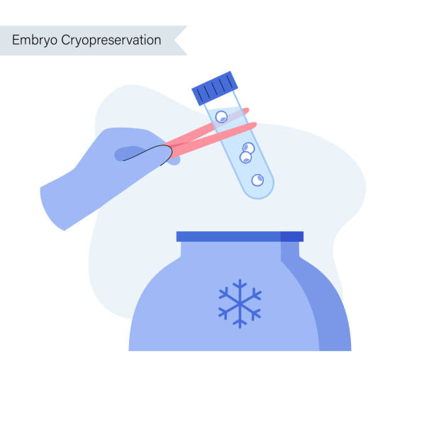 illustrazioni stock, clip art, cartoni animati e icone di tendenza di fertilità umana - cryobiology