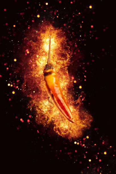 Chili Pepper red on black background with hot fire flames