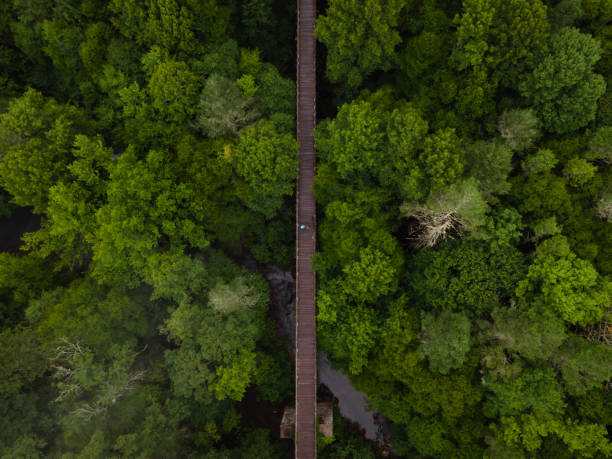 Aerial View of the Virginia Creeper Trail Aerial view of the Virginia Creeper Trail near Damascus, Virginia in the summer. appalachian mountains photos stock pictures, royalty-free photos & images