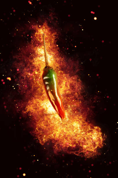 istock Chili Pepper red on black background with hot fire flames 1263738686