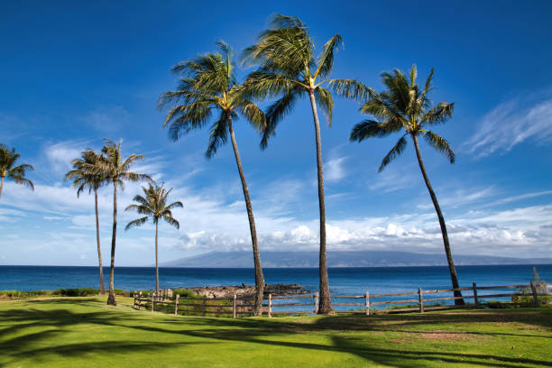 zatoka napili na wyspie maui - napili bay zdjęcia i obrazy z banku zdjęć