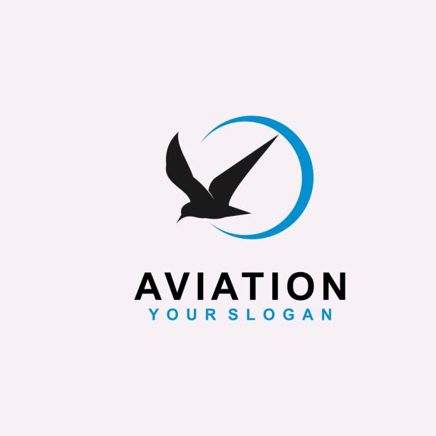 aviation design icon vector, bird  icon illustration aviation design icon vector, bird  icon illustration albatross stock illustrations
