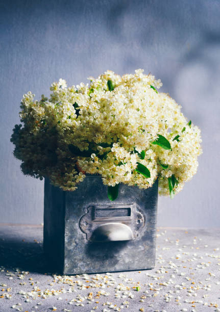 White bouquet in a vintage tin drawer.