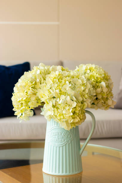 istock Hydrangea flower arrangement in a nice living room 1263756851