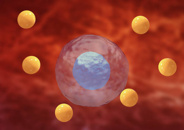 oxidative stress is the deformation and degeneration of cells caused by the attack by free radicals. - antioxidant imagens e fotografias de stock