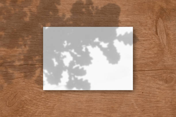 istock A horizontal A4 sheet of white textured paper on wooden table background. Mockup overlay with the plant shadows. Natural light casts shadows from the oak leaves. Horizontal orientation 1263765896