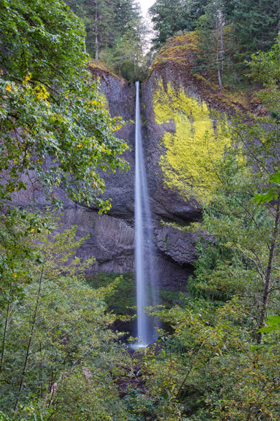 istock Columbia River Gorge National Scenic Area 1263768874