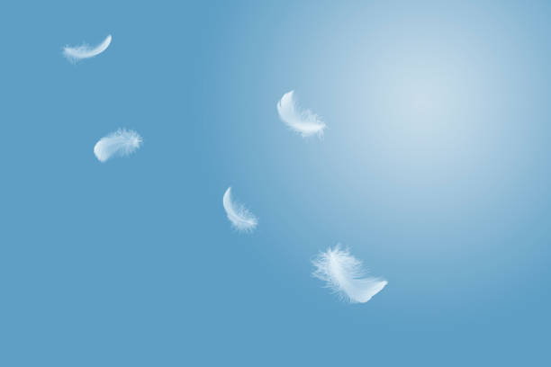 istock Light fluffy a white feather floating in the sky. Feather abstract freedom concept background. 1263770354