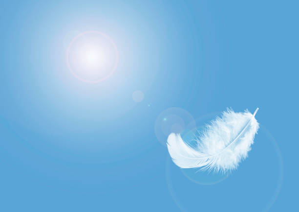 istock Light fluffy a white feather floating in the sky. Feather abstract freedom concept background. 1263770355