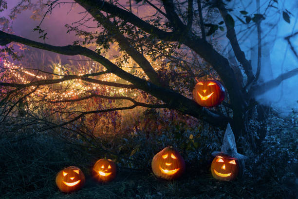 istock Halloween pumpkins in night forest 1263773775
