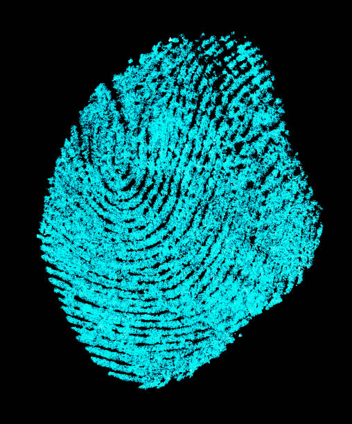 krwawy odcisk palca z lampą ultrafioletową. odcisk palca na czarnym tle. - fingerprint blue human finger fingermark zdjęcia i obrazy z banku zdjęć