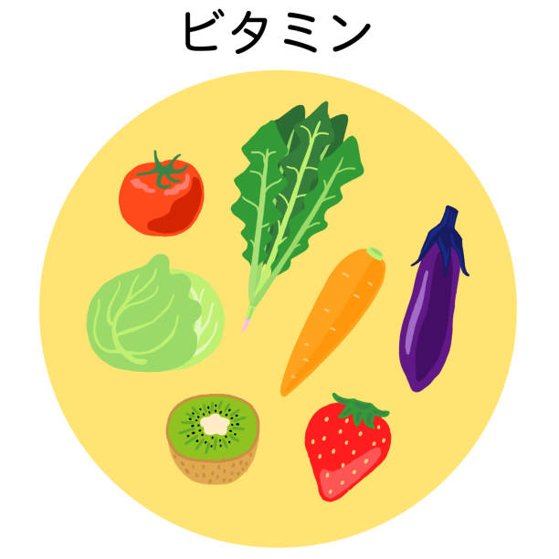펜토뉴트리언트 및 비타민 식품 - eggplant tomato white background fruit stock illustrations