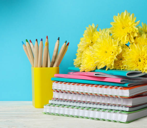 istock School supplies and chrysanthemums on blue background 1263783669