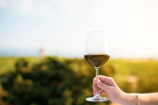 istock red wine glass standing on picnic table 1263785403