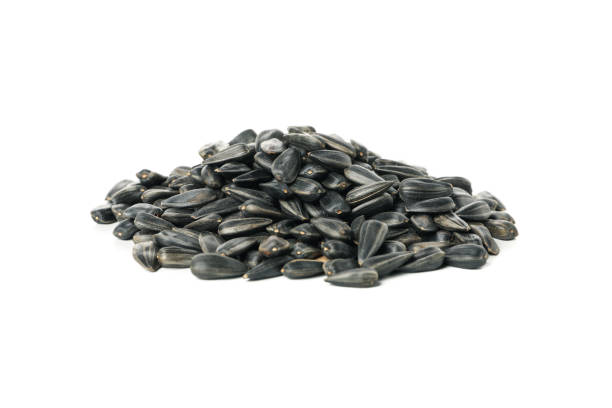 istock Bunch of sunflower seeds isolated on white background 1263788791