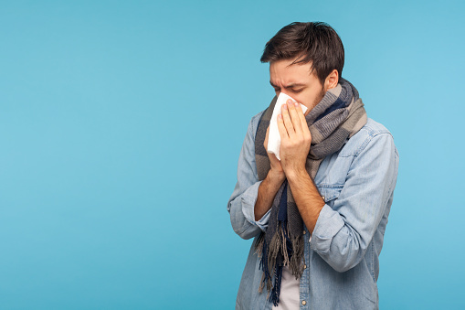 Portrait of sick man standing wrapped in warm scarf sneezing in napkin, feeling unwell suffering seasonal influenza symptoms, allergy. indoor studio shot isolated on blue background, copy space