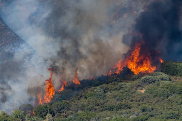 istock Fire rages in Southern California 1263790995
