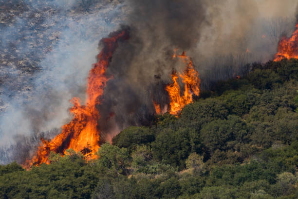 istock The Apple Fire rages in Southern California 1263791009