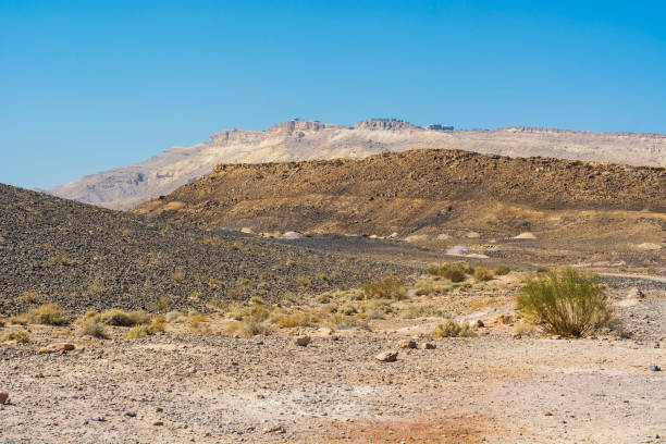 istock Landscape in the Southern Israel. 1263819371