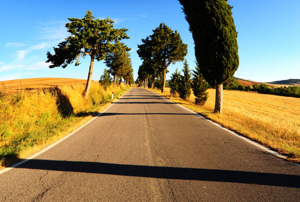 istock Tuscan landscape with asphalt road 1263819435