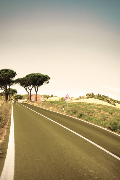 istock Tuscan landscape with asphalt road 1263819436