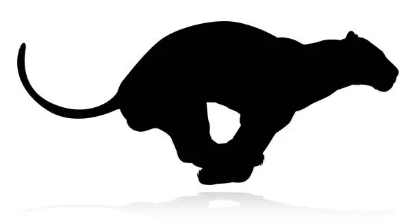 Vector illustration of Lions Silhouette