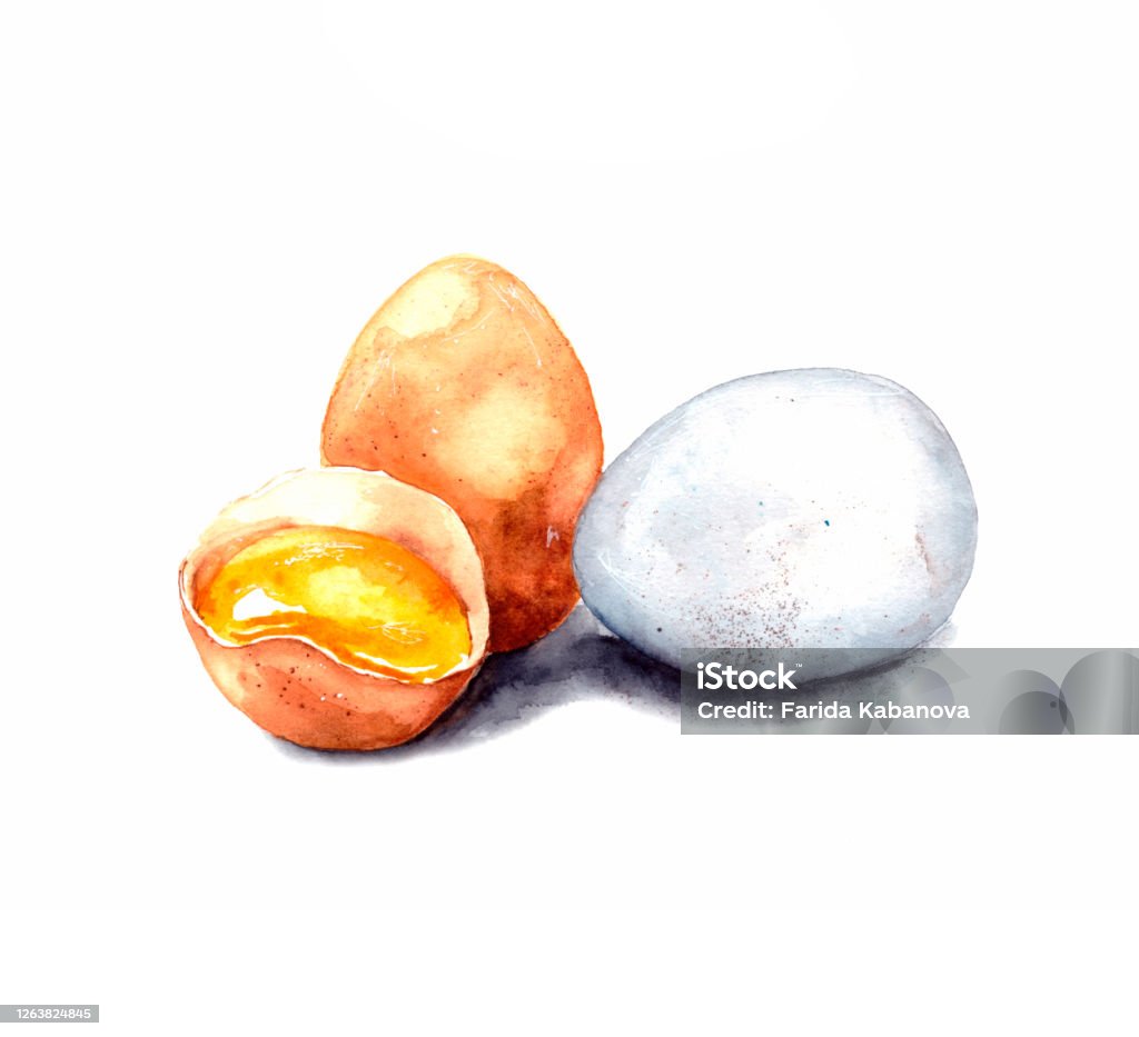 Minh Họa Màu Nước Vẽ Tay Hình Ảnh Trứng Gà Trên Nền Trắng Trứng Gà Trắng Và  Nâu Trứng Nguyên Con Và Vỡ Với Lòng Đỏ Bị Cô Lập Hình minh họa