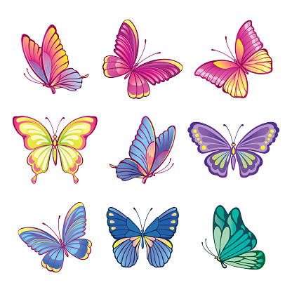 Collection of colorful butterflies. Imitation of watercolor butterflies. Set of decorative, abstract butterflies or moths on a white background.  Isolated illustration for stickers or print. Vector.