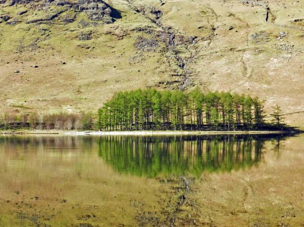 istock Reflection on Buttermere lake in The Lake, District, UK 1263832022