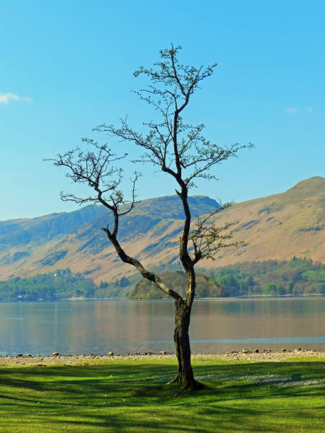 Landscape view of the lakes and mountains of The Lake District, Cumbria, UK