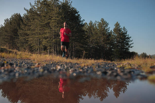 istock Morning jogging in a nature 1263833546