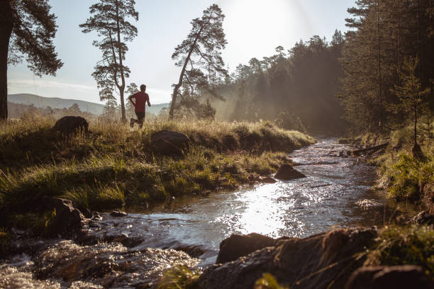 istock Morning jogging in a nature 1263833621