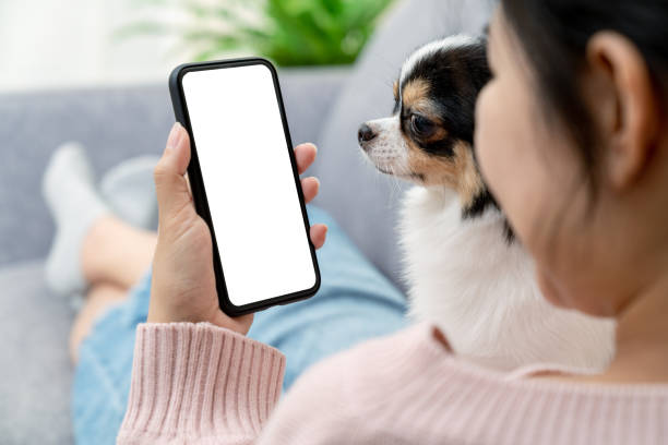 de cerca de la vista trasera de la joven asiática mujer con teléfono de retención de mascotas en la pantalla en blanco blanco para la pantalla del reloj del dispositivo de visualización de la maqueta de montaje en concepto de estilo de vida con tecnolo - animal cell fotografías e imágenes de stock