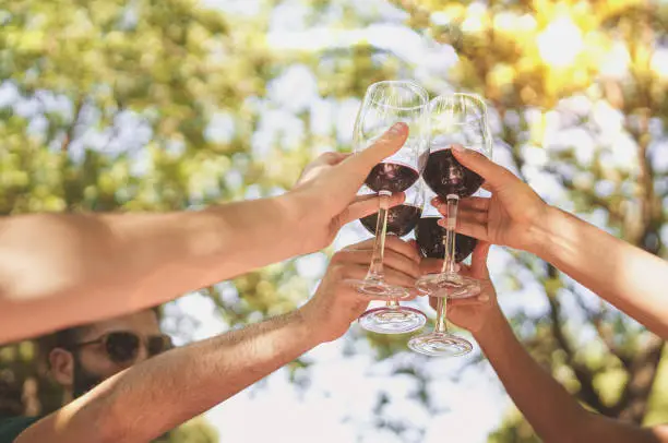 hands toasting with red wine outdoors in the countryside. Friendship and togetherness concept with people clinking with wineglasses against the trees outdoors.