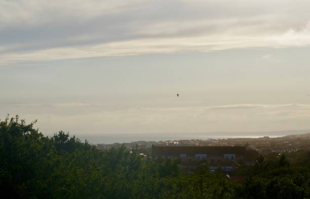 istock Panoramic sunset view of Peacehaven, South Downs and Brighton on sunny summers day. 1263835582
