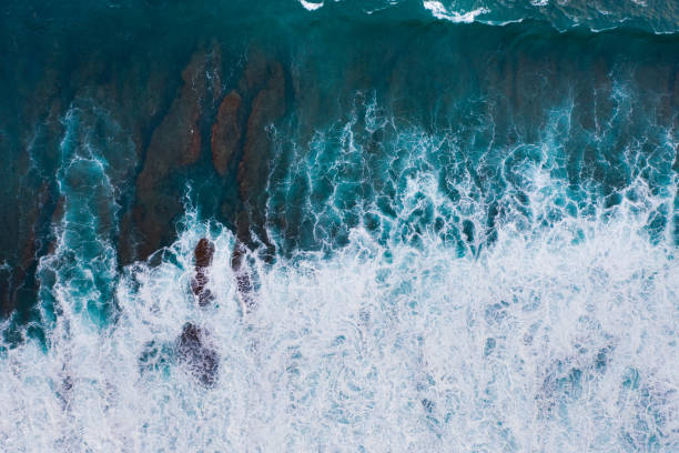 istock Big ocean waves hitting a coral reef. View from above. 1263838202