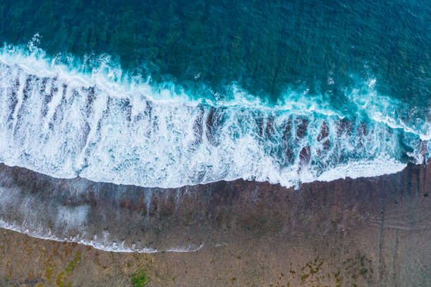 istock Big ocean waves hitting a coral reef. View from above. 1263838207