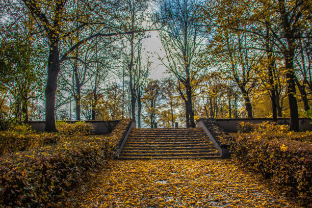 istock Autumn colored maple leaves and trees in a city park. 1263839738