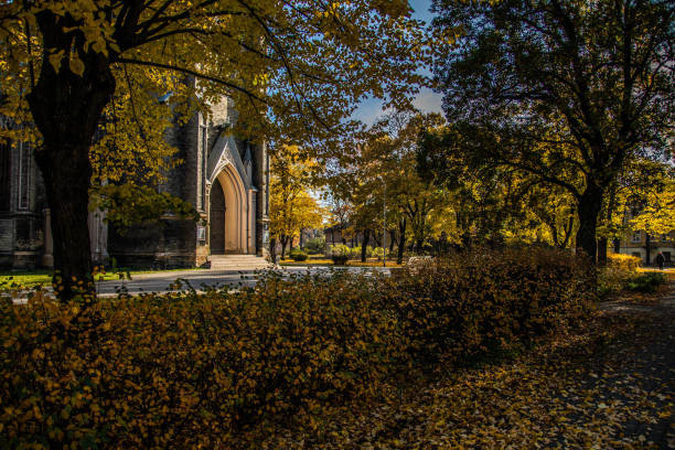 istock Autumn colored maple leaves and trees in a city park. 1263840316