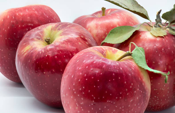 красные яблоки - red delicious apple red gourmet apple стоковые фото и изображения